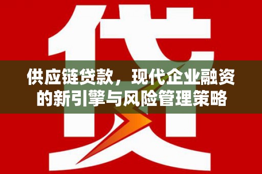 海端供应链贷款，现代企业融资的新引擎与风险管理策略