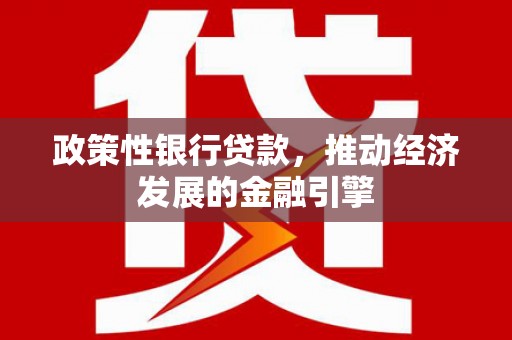 海端政策性银行贷款，推动经济发展的金融引擎
