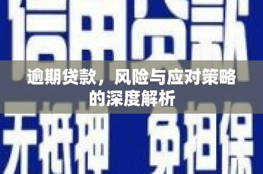 海端逾期贷款，风险与应对策略的深度解析
