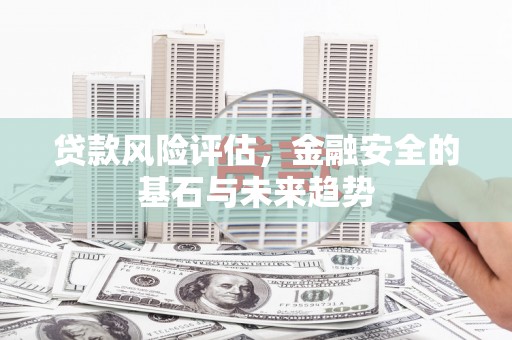 海端贷款风险评估，金融安全的基石与未来趋势