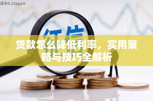 海端贷款怎么降低利率，实用策略与技巧全解析
