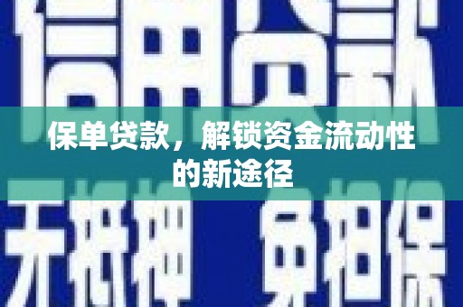 海端保单贷款，解锁资金流动性的新途径