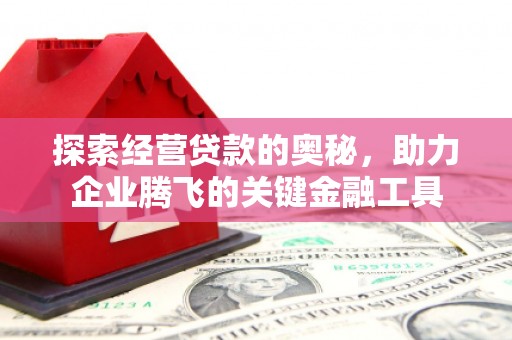 海端探索经营贷款的奥秘，助力企业腾飞的关键金融工具