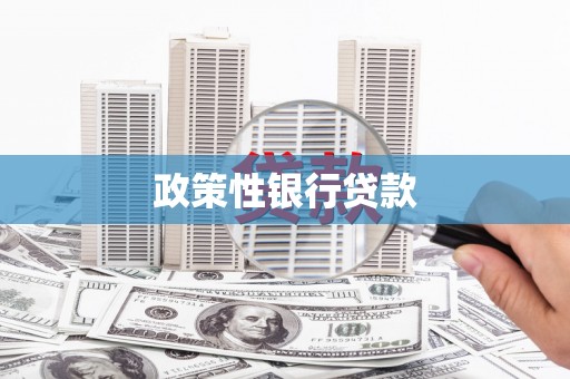 海端政策性银行贷款