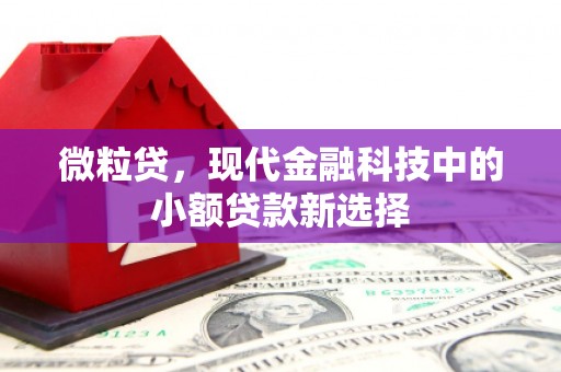 海端微粒贷，现代金融科技中的小额贷款新选择