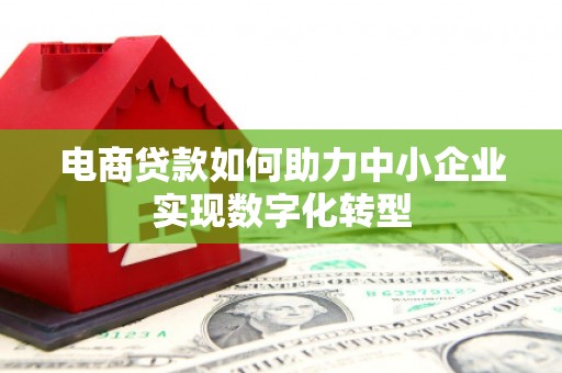 海端电商贷款如何助力中小企业实现数字化转型