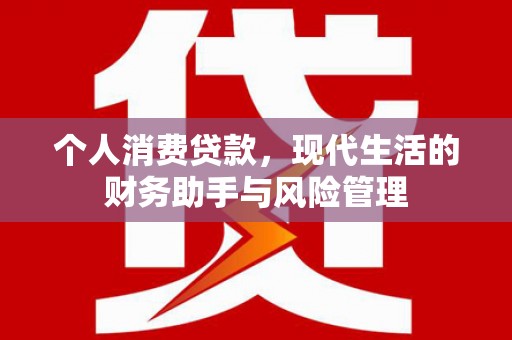 海端个人消费贷款，现代生活的财务助手与风险管理