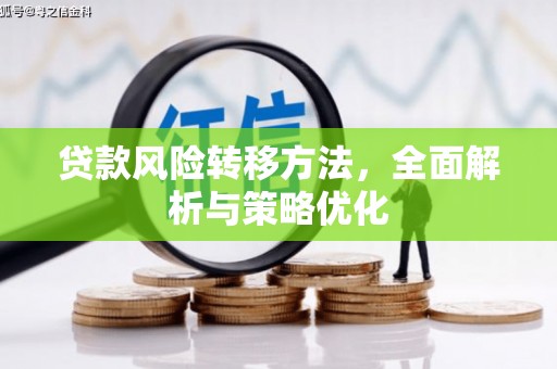 海端贷款风险转移方法，全面解析与策略优化