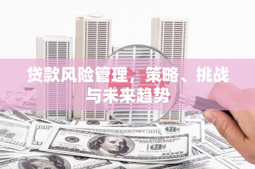 海端贷款风险管理，策略、挑战与未来趋势