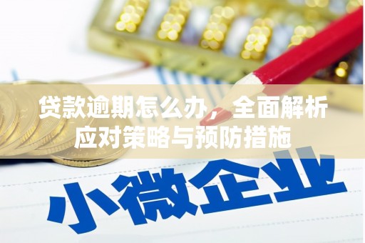 海端贷款逾期怎么办，全面解析应对策略与预防措施