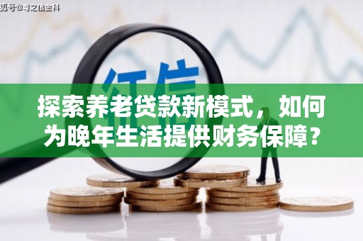 海端探索养老贷款新模式，如何为晚年生活提供财务保障？