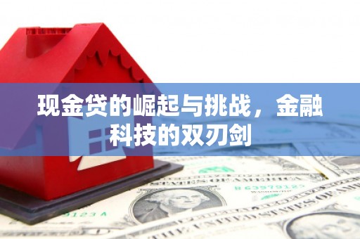 海端现金贷的崛起与挑战，金融科技的双刃剑