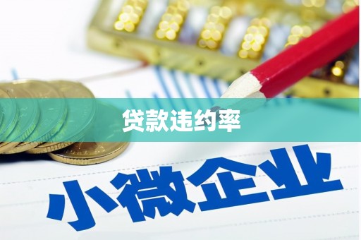 海端贷款违约率