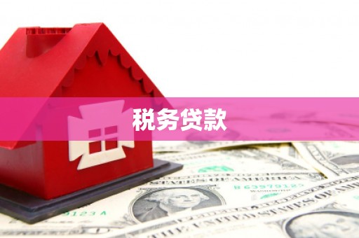 海端税务贷款