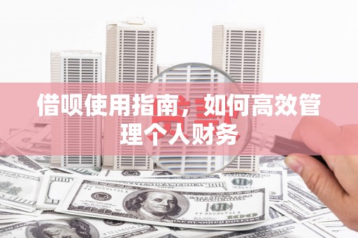 海端借呗使用指南，如何高效管理个人财务