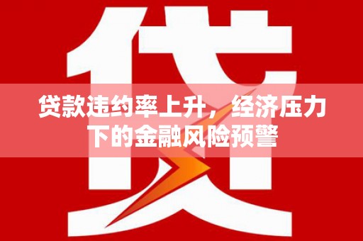 海端贷款违约率上升，经济压力下的金融风险预警