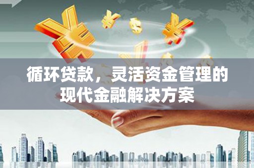 海端循环贷款，灵活资金管理的现代金融解决方案