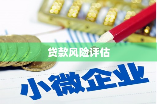 海端贷款风险评估