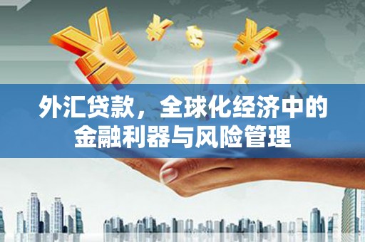 海端外汇贷款，全球化经济中的金融利器与风险管理