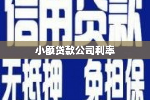 海端小额贷款公司利率