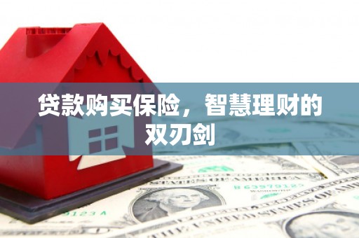 海端贷款购买保险，智慧理财的双刃剑