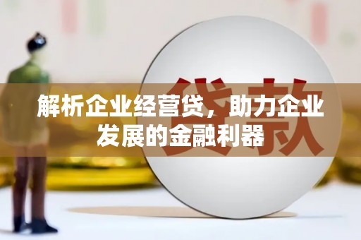 海端解析企业经营贷，助力企业发展的金融利器
