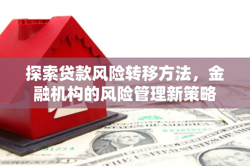海端探索贷款风险转移方法，金融机构的风险管理新策略