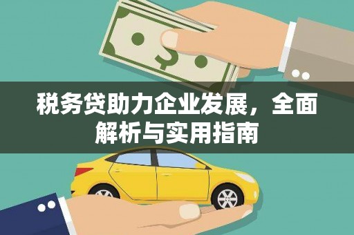 海端税务贷助力企业发展，全面解析与实用指南