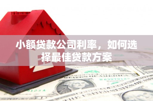 海端小额贷款公司利率，如何选择最佳贷款方案