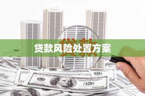 海端贷款风险处置方案