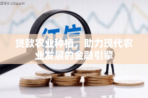 海端贷款农业种植，助力现代农业发展的金融引擎