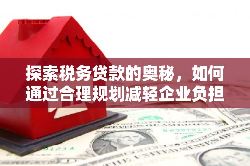 海端探索税务贷款的奥秘，如何通过合理规划减轻企业负担