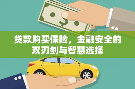 海端贷款购买保险，金融安全的双刃剑与智慧选择