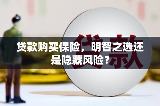 海端贷款购买保险，明智之选还是隐藏风险？