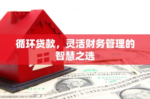 海端循环贷款，灵活财务管理的智慧之选