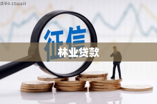 海端林业贷款