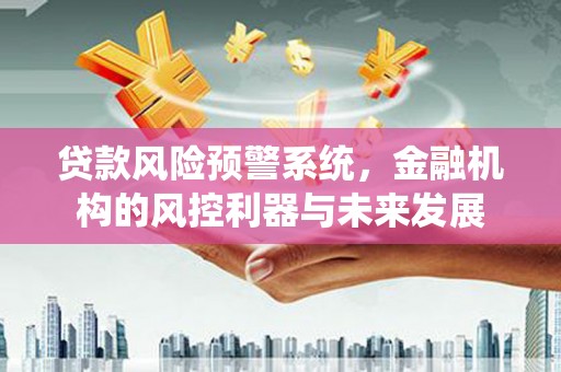海端贷款风险预警系统，金融机构的风控利器与未来发展