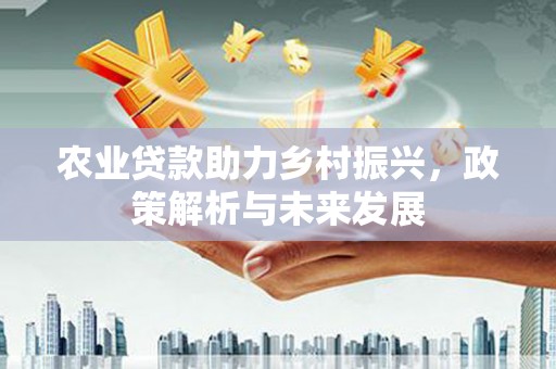 海端农业贷款助力乡村振兴，政策解析与未来发展