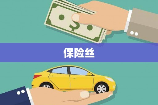 海端保险丝