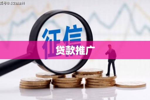 海端贷款推广