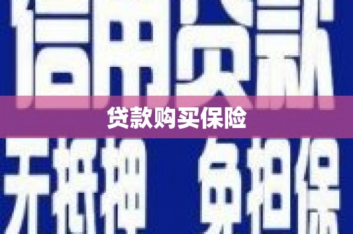 海端贷款购买保险