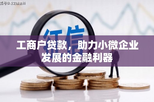 海端工商户贷款，助力小微企业发展的金融利器