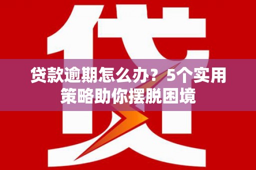 海端贷款逾期怎么办？5个实用策略助你摆脱困境