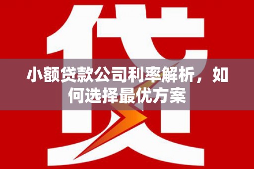 海端小额贷款公司利率解析，如何选择最优方案