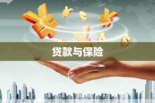 海端贷款与保险