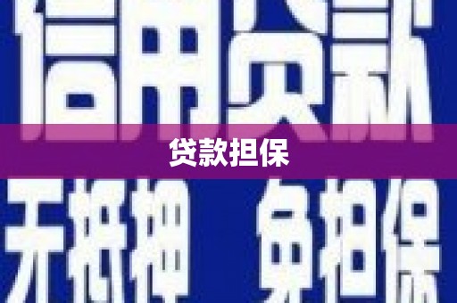海端贷款担保