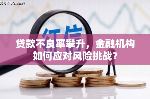 海端贷款不良率攀升，金融机构如何应对风险挑战？