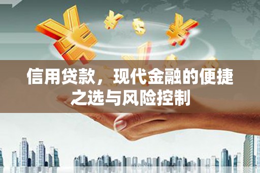 海端信用贷款，现代金融的便捷之选与风险控制