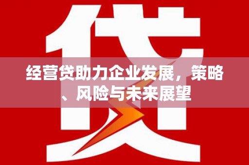 海端经营贷助力企业发展，策略、风险与未来展望