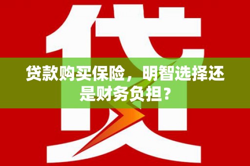 海端贷款购买保险，明智选择还是财务负担？